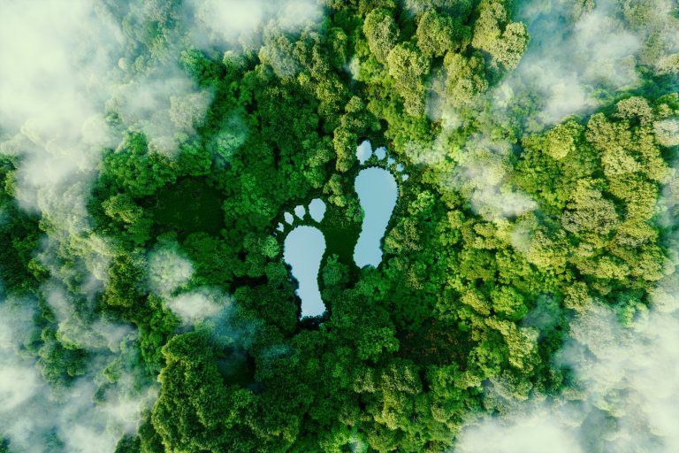 Sustainable tourism: holidaymakers’ choices are changing